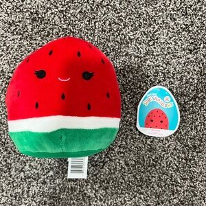 Summer addition watermelon squishmallow